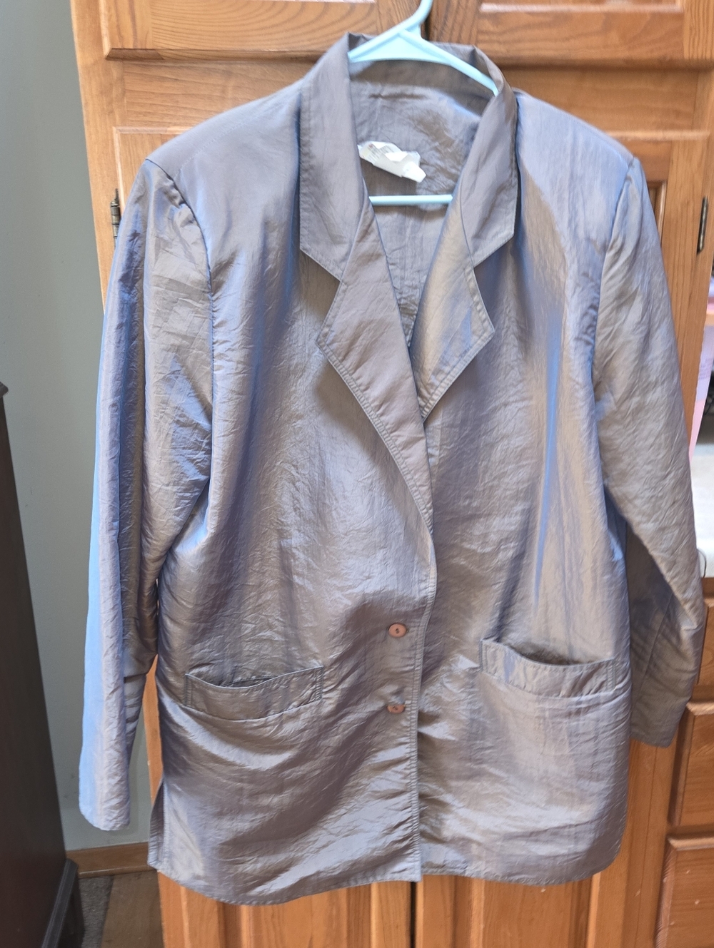 Vintage Units iridescent women's blazer - size XXL?